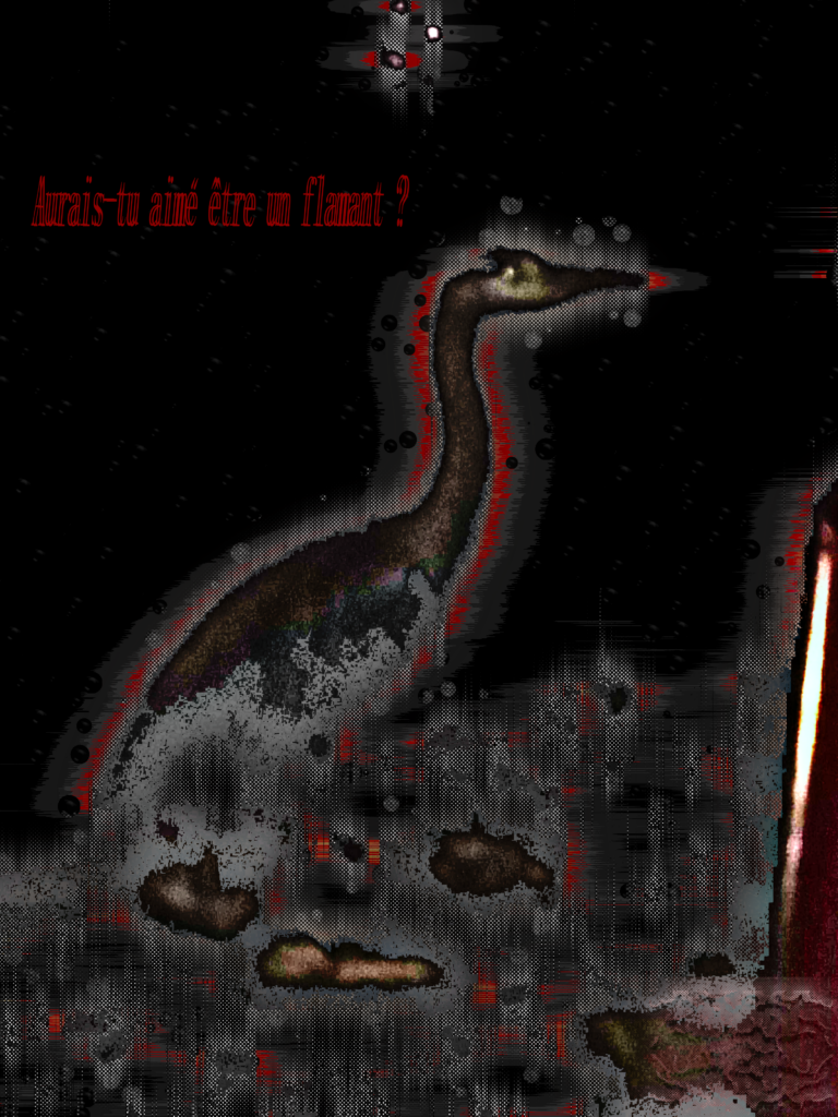 aurais tu aimé être un flamant