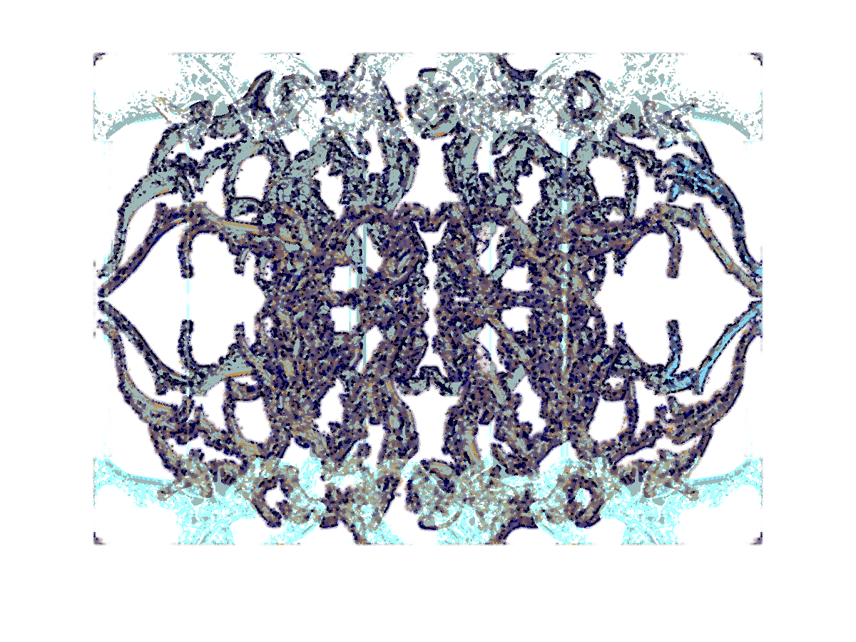 logo distordu paarl 